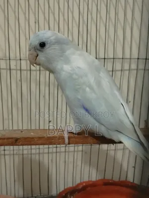 ফরপাস মেল এক্সচেঞ্জ