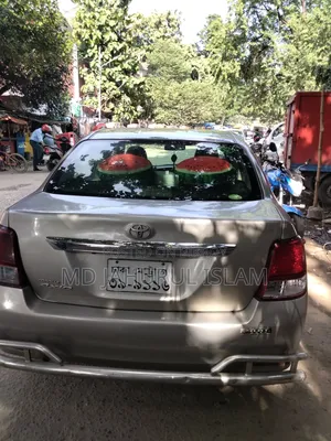 Toyota Axio 2012 Gray