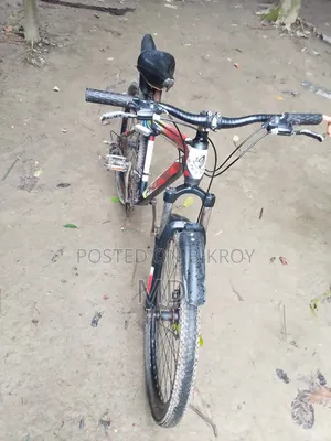 Bicycle for Sale