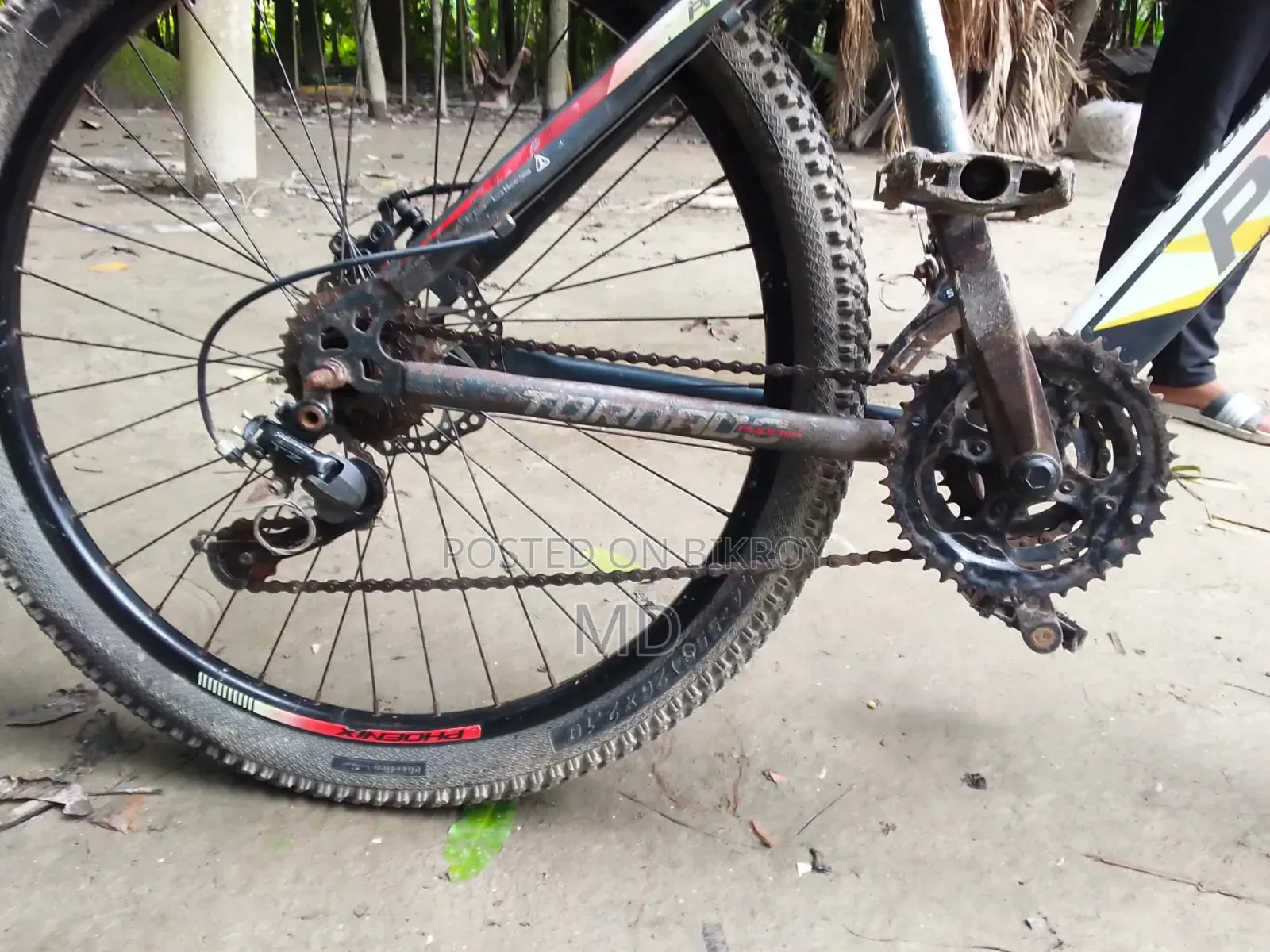Bicycle for Sale