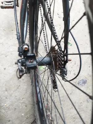 Bicycle for Sale
