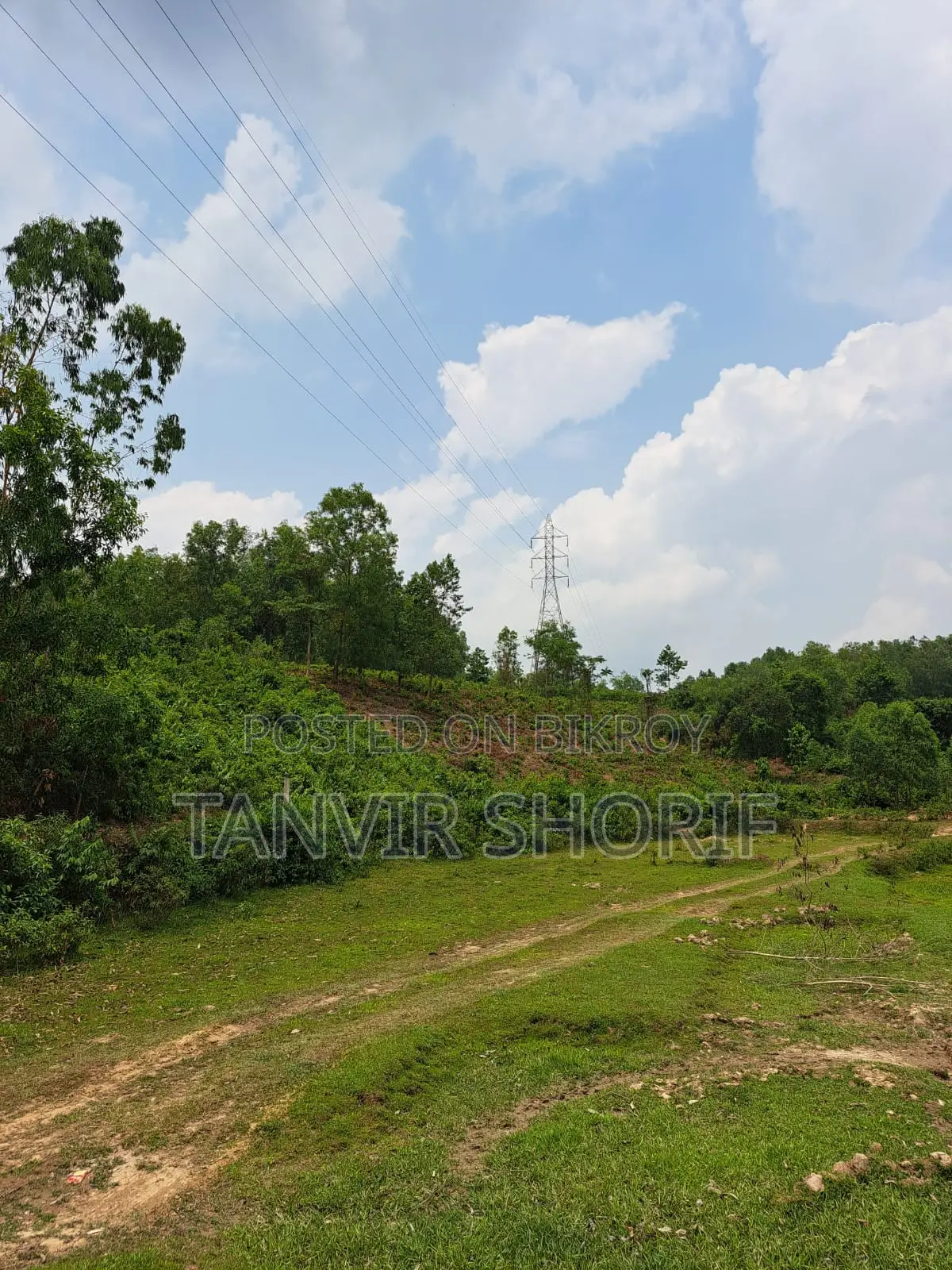 Urgent Sale of 40 Bighas of Tila Land – Maulvibazar Sadar, Sylhet