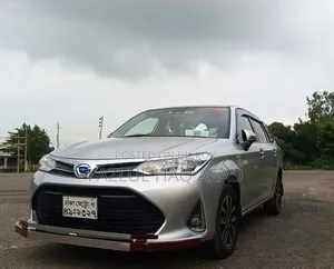 Toyota Corolla Fielder 2017 Silver
