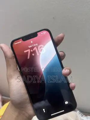 অ্যাপল আইফোন ১৩ ২৫৬ জিবি গ্রিন