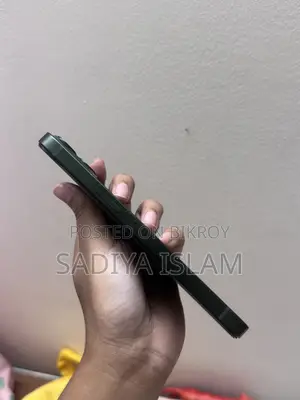 অ্যাপল আইফোন ১৩ ২৫৬ জিবি গ্রিন