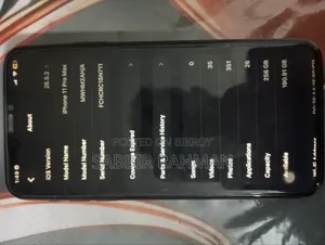 Apple iPhone 11 Pro Max 256 GB Black