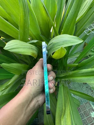 অ্যাপল আইফোন ১২ প্রো ১২৮ জিবি সিলভার