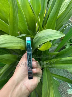 অ্যাপল আইফোন ১২ প্রো ১২৮ জিবি সিলভার
