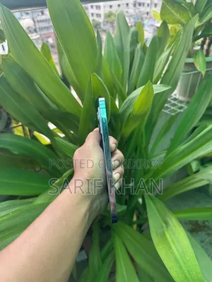 অ্যাপল আইফোন ১২ প্রো ১২৮ জিবি সিলভার