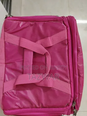 Foodpanda Bag