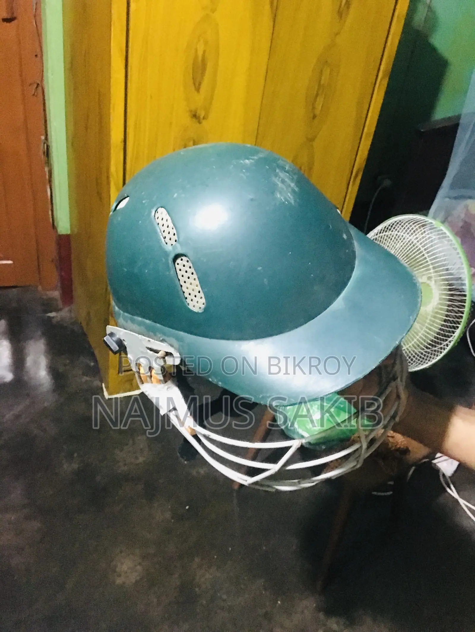 Cricket Helmet