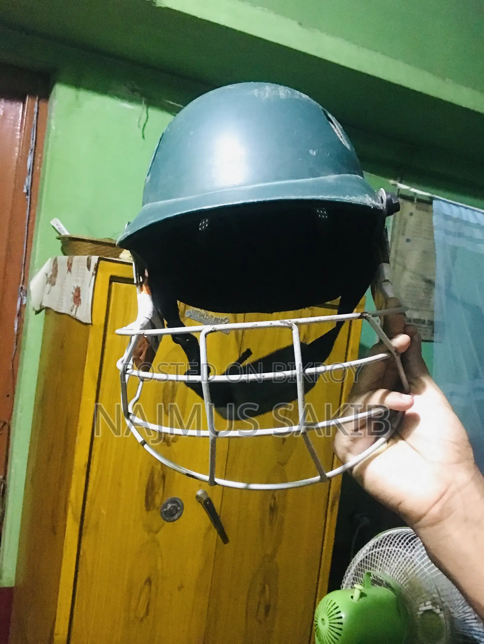 Cricket Helmet