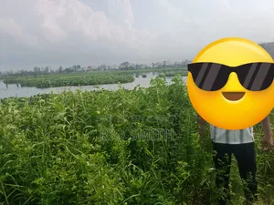 সাতারকুল, বাড্ডায় ৫ কাঠা জমি বিক্রি