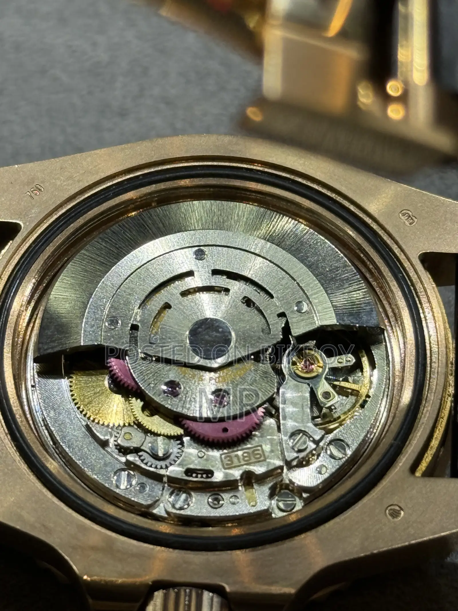 Rolex Watch