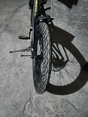 Bi Cycle Like a New