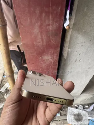 অ্যাপল আইফোন ১৬ প্রো ১২৮ জিবি গোল্ড
