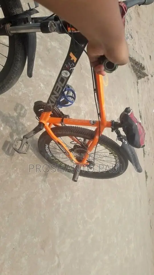 ফিনিক্স সাইকেল ২০২৩ মডেল