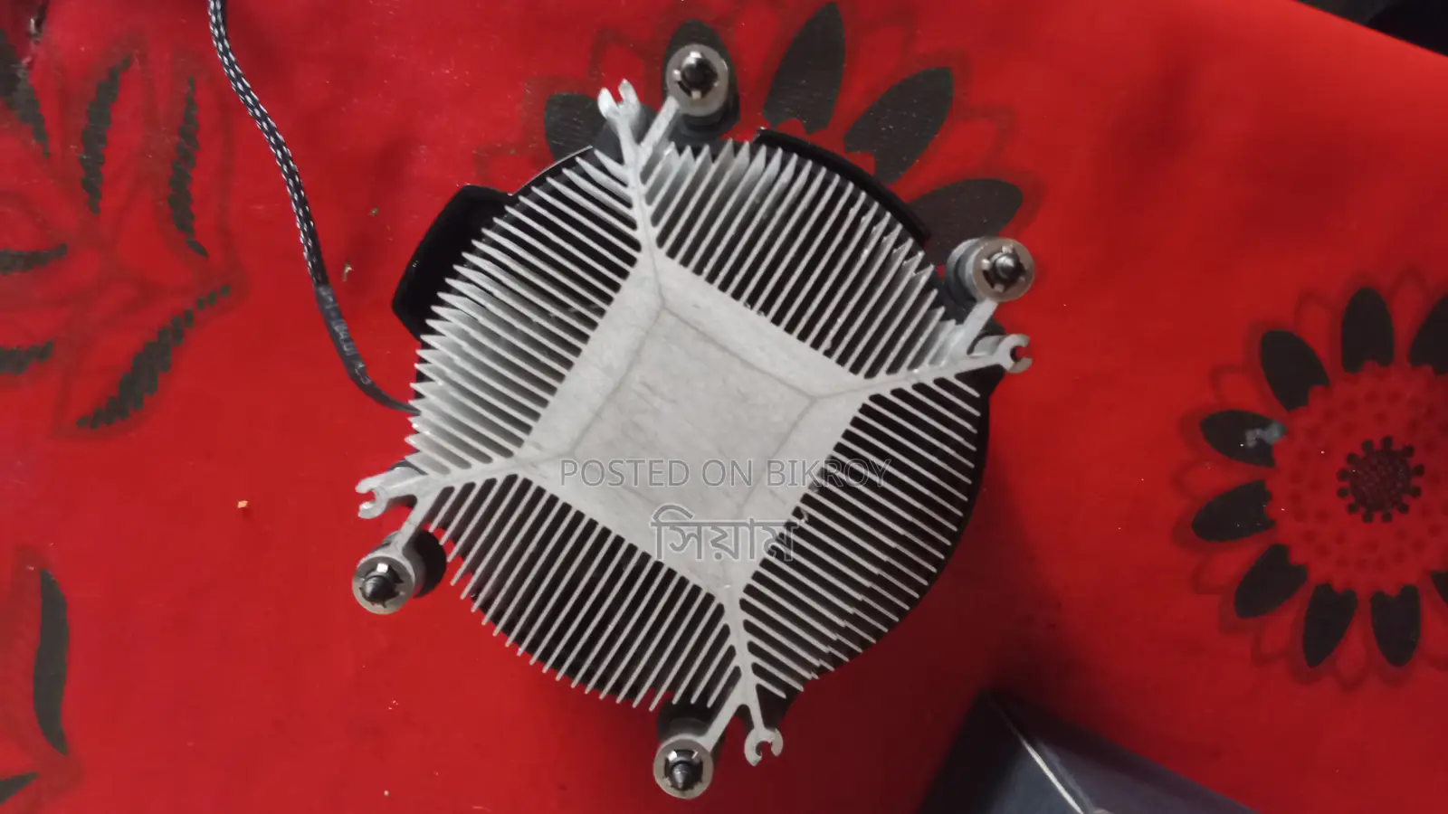 এএমডি স্টক কুলার