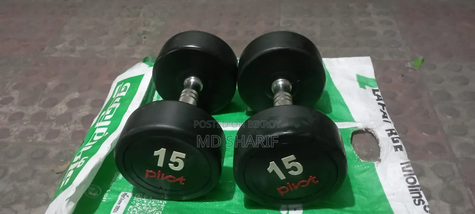 ডাম্বেল মিনি
