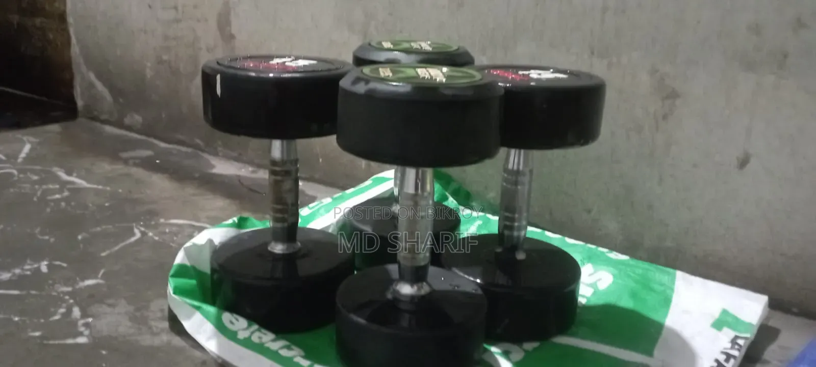 ডাম্বেল মিনি
