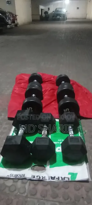 ডাম্বেল মিনি