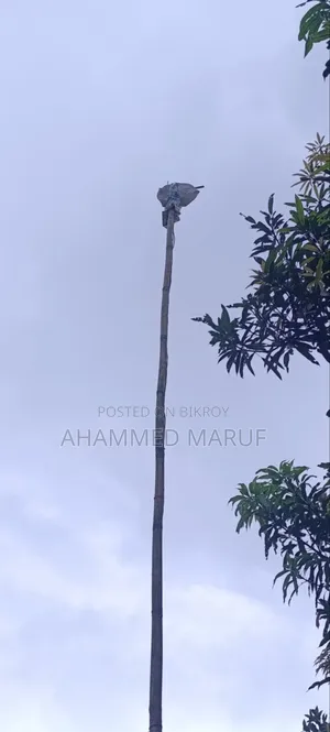 RobiWifi Plus