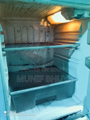 Electric Fridge
