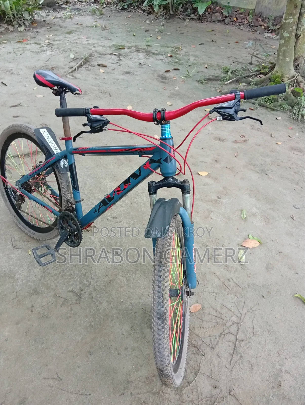 Avon Bicycle