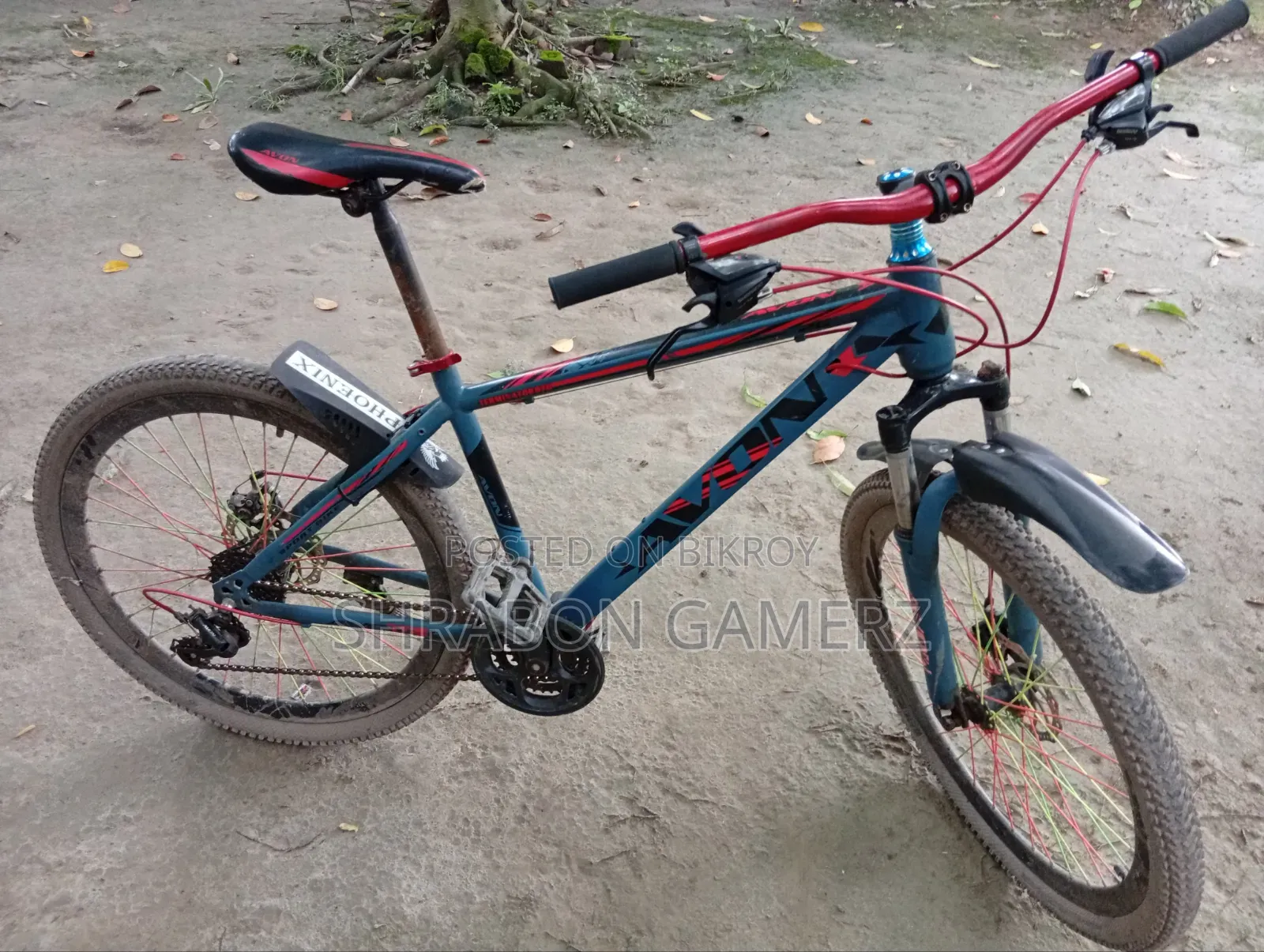 Avon Bicycle