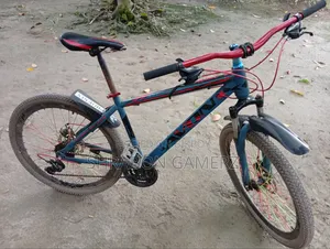 Avon Bicycle