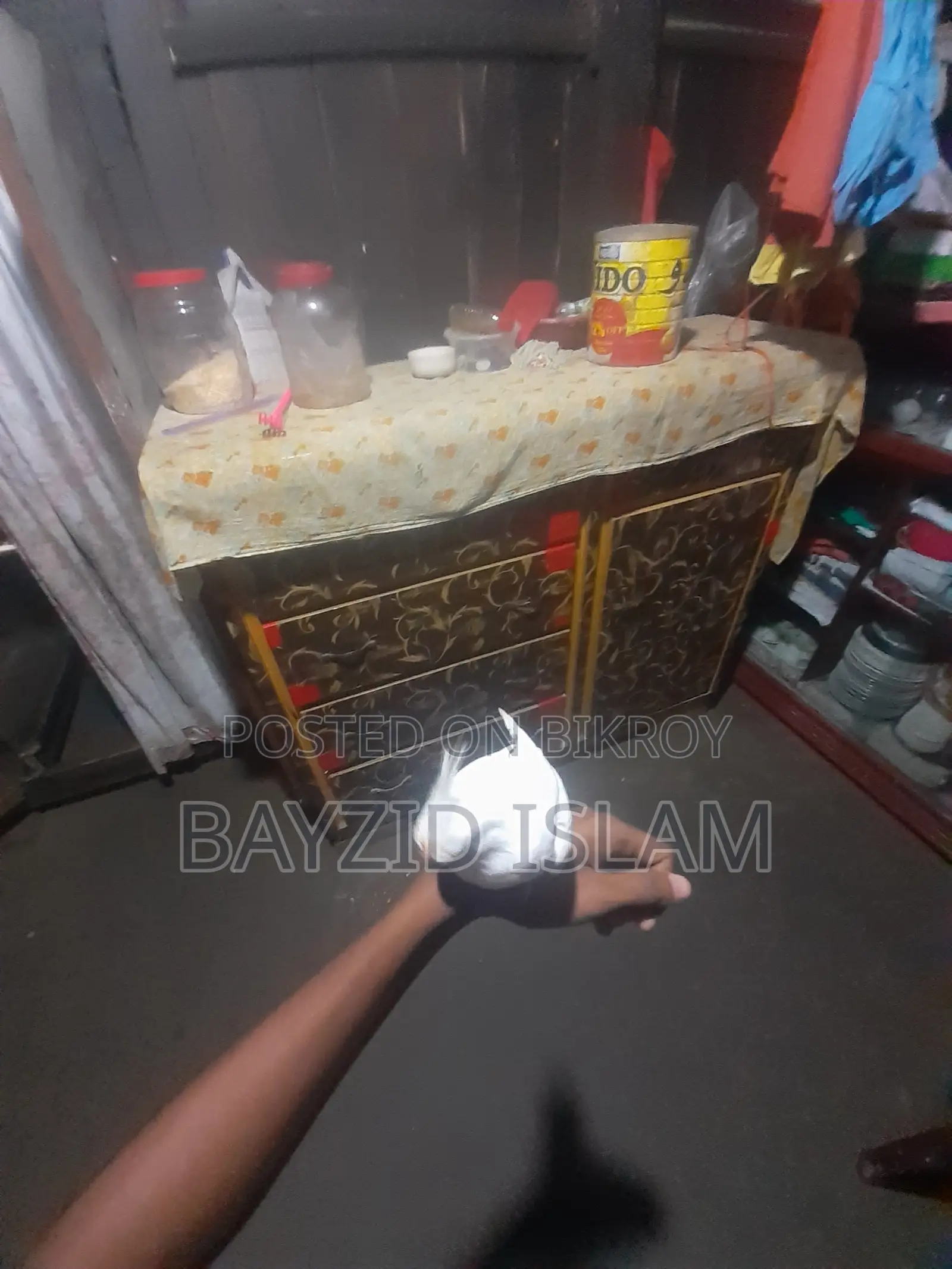 পোষা ককাটেল পাখি