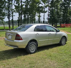Toyota Corolla 2003 Gold