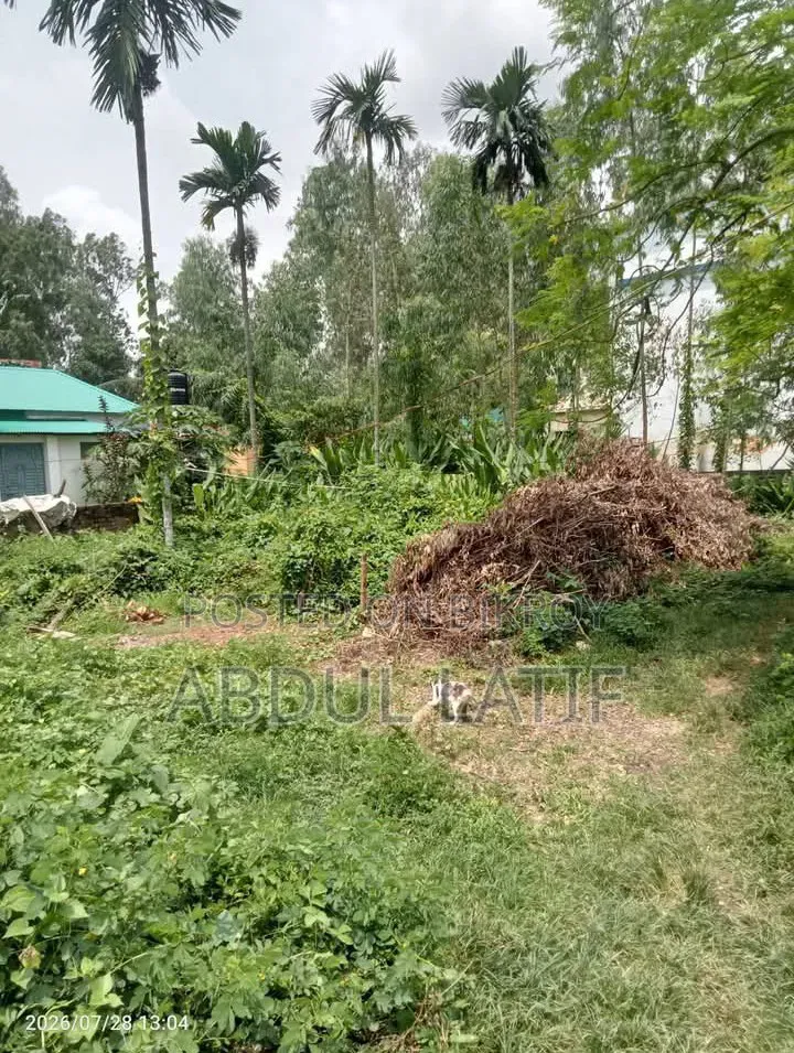 Four Satok Land for Sale