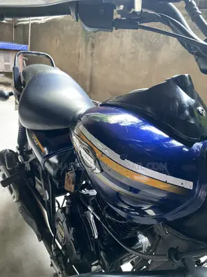 Bajaj Avenger 150 Street 2017 Blue