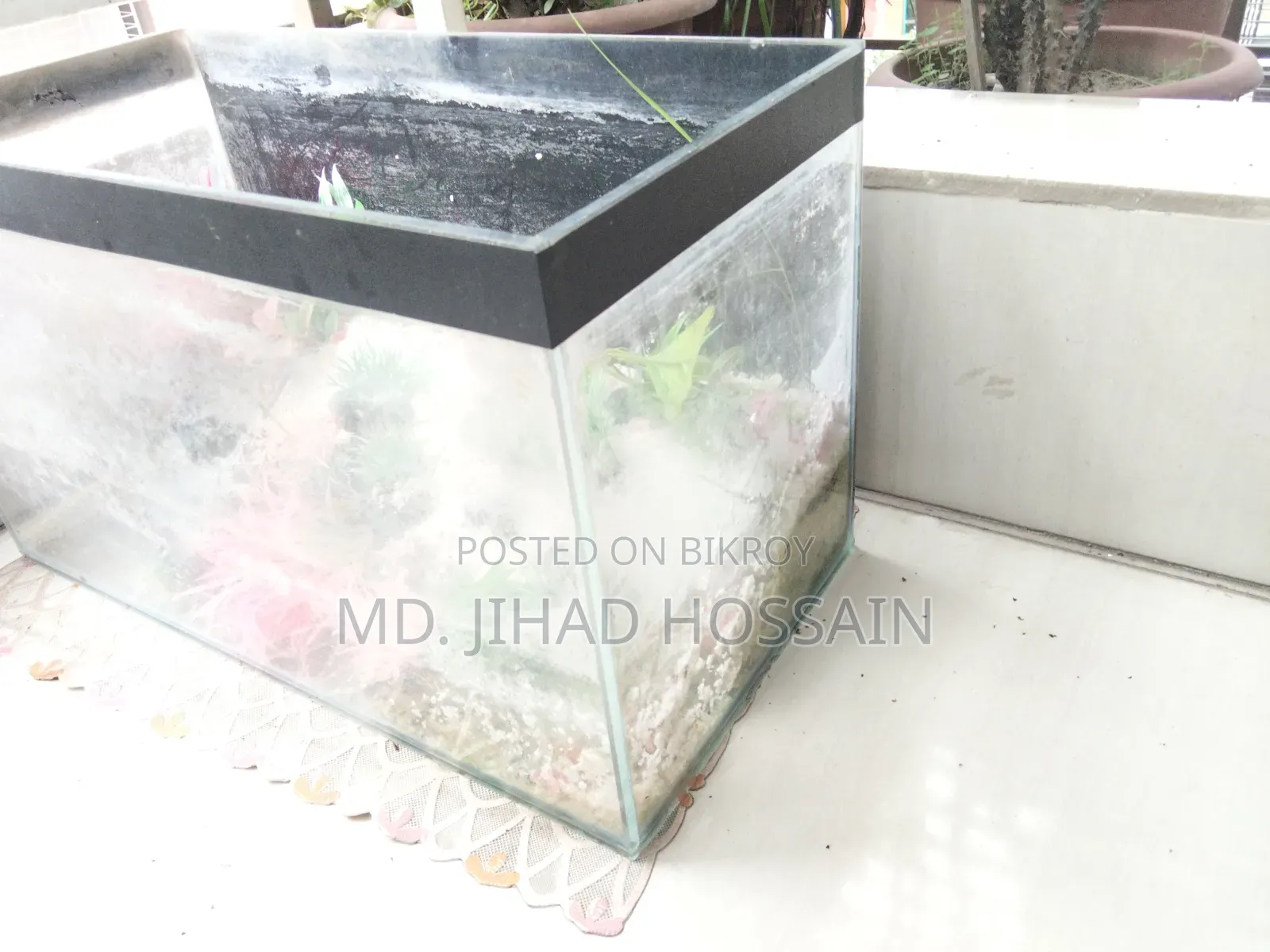 শখের একুয়ারিয়াম বিক্রয়ের জন্য!