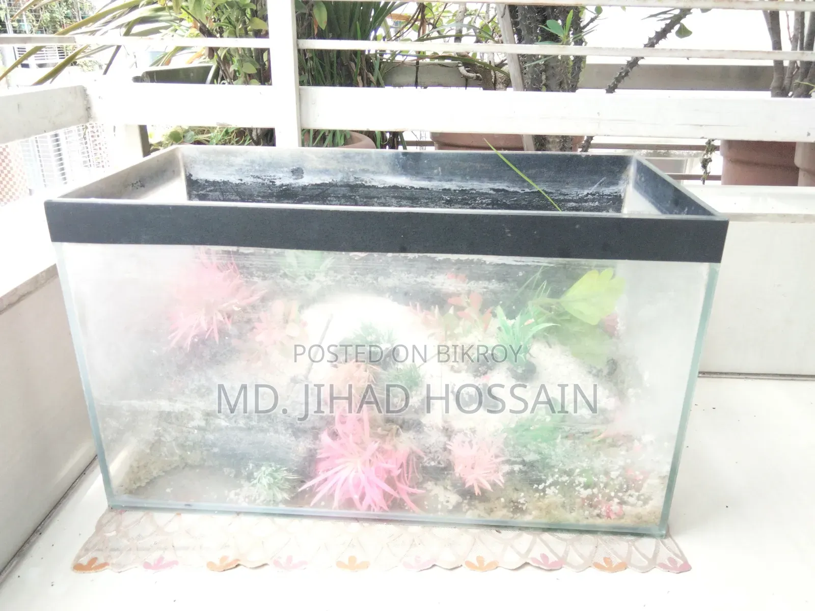 শখের একুয়ারিয়াম বিক্রয়ের জন্য!