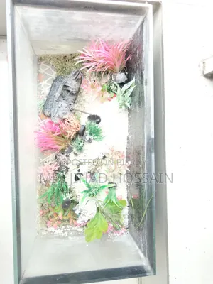 শখের একুয়ারিয়াম বিক্রয়ের জন্য!