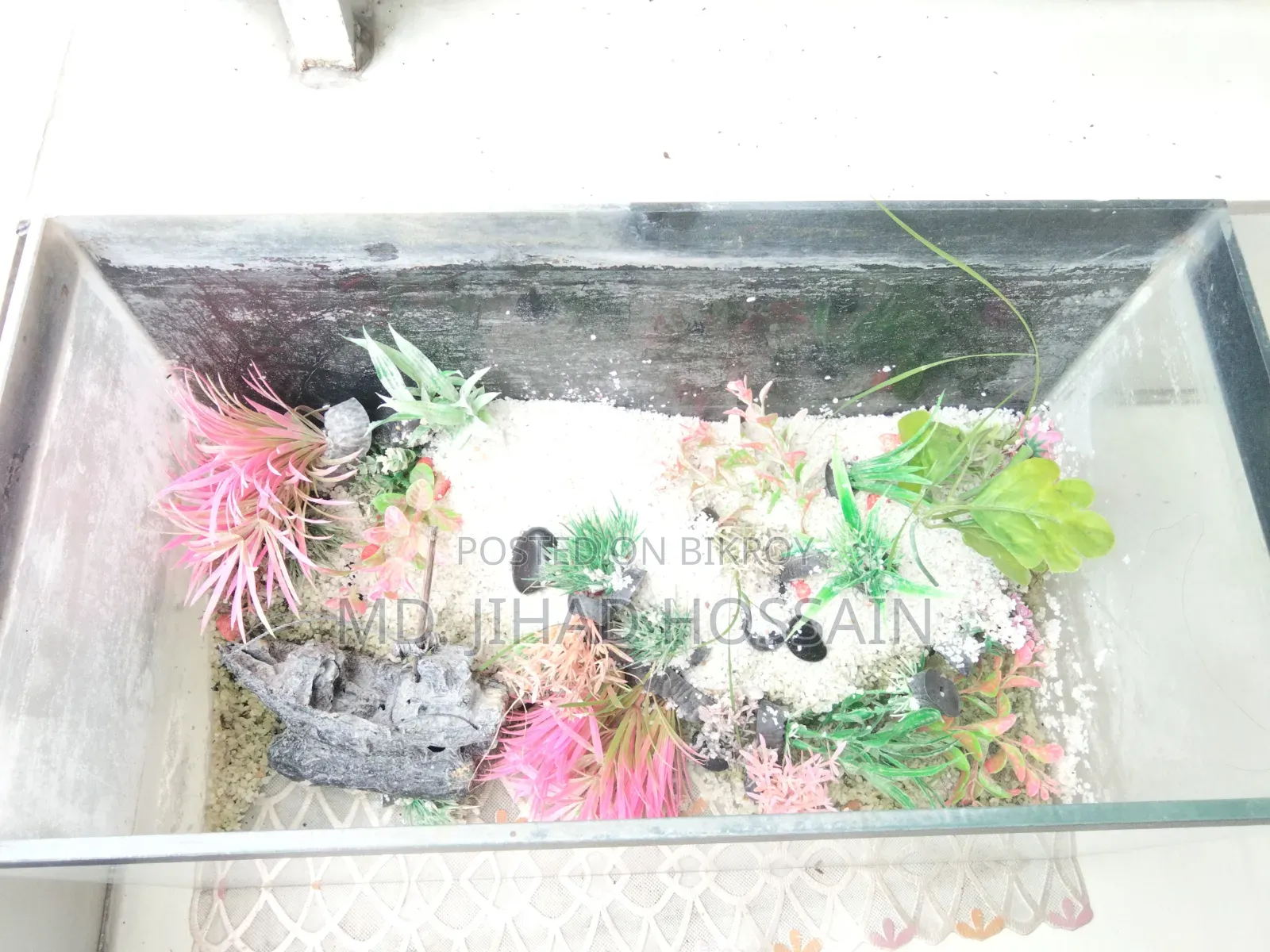 শখের একুয়ারিয়াম বিক্রয়ের জন্য!