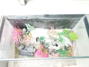 শখের একুয়ারিয়াম বিক্রয়ের জন্য!