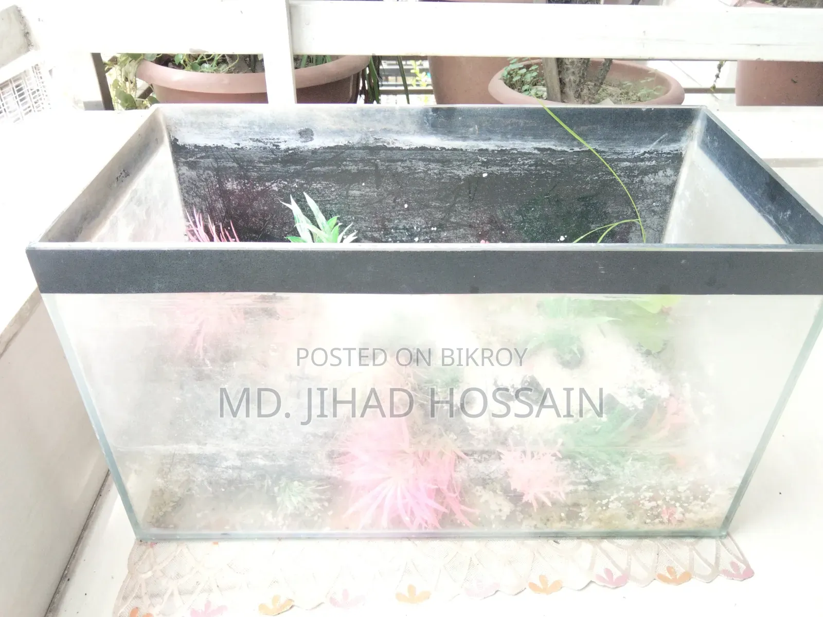 শখের একুয়ারিয়াম বিক্রয়ের জন্য!