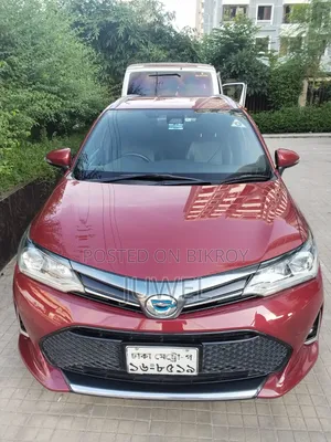 Toyota Corolla Fielder 2018 Red
