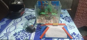 একুরিয়াম সেট