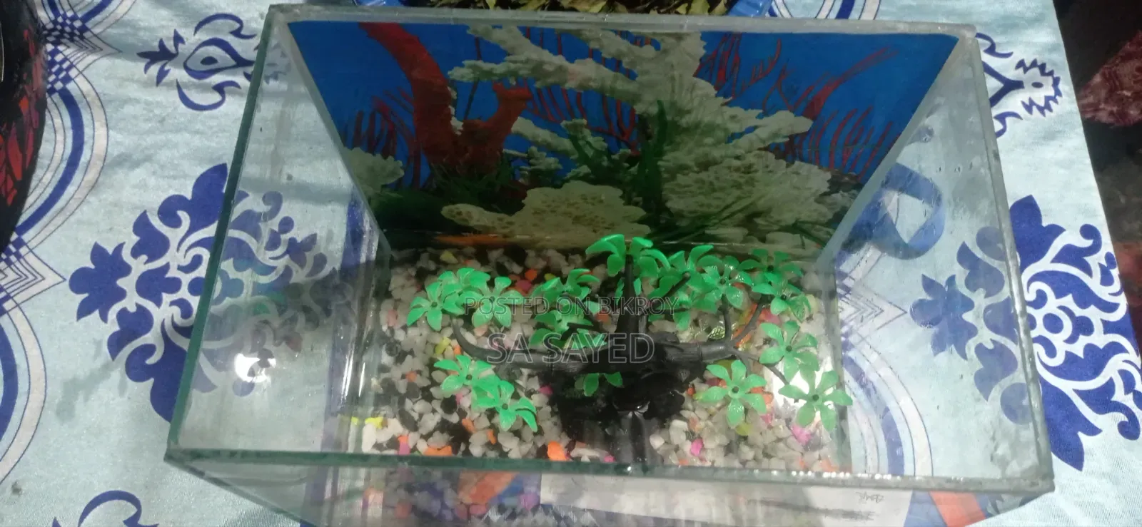 একুরিয়াম সেট