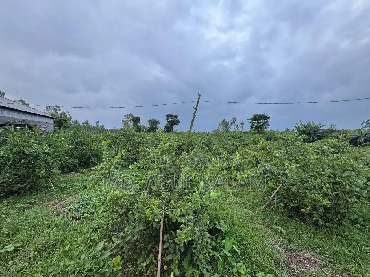 6 Katha Land Sell