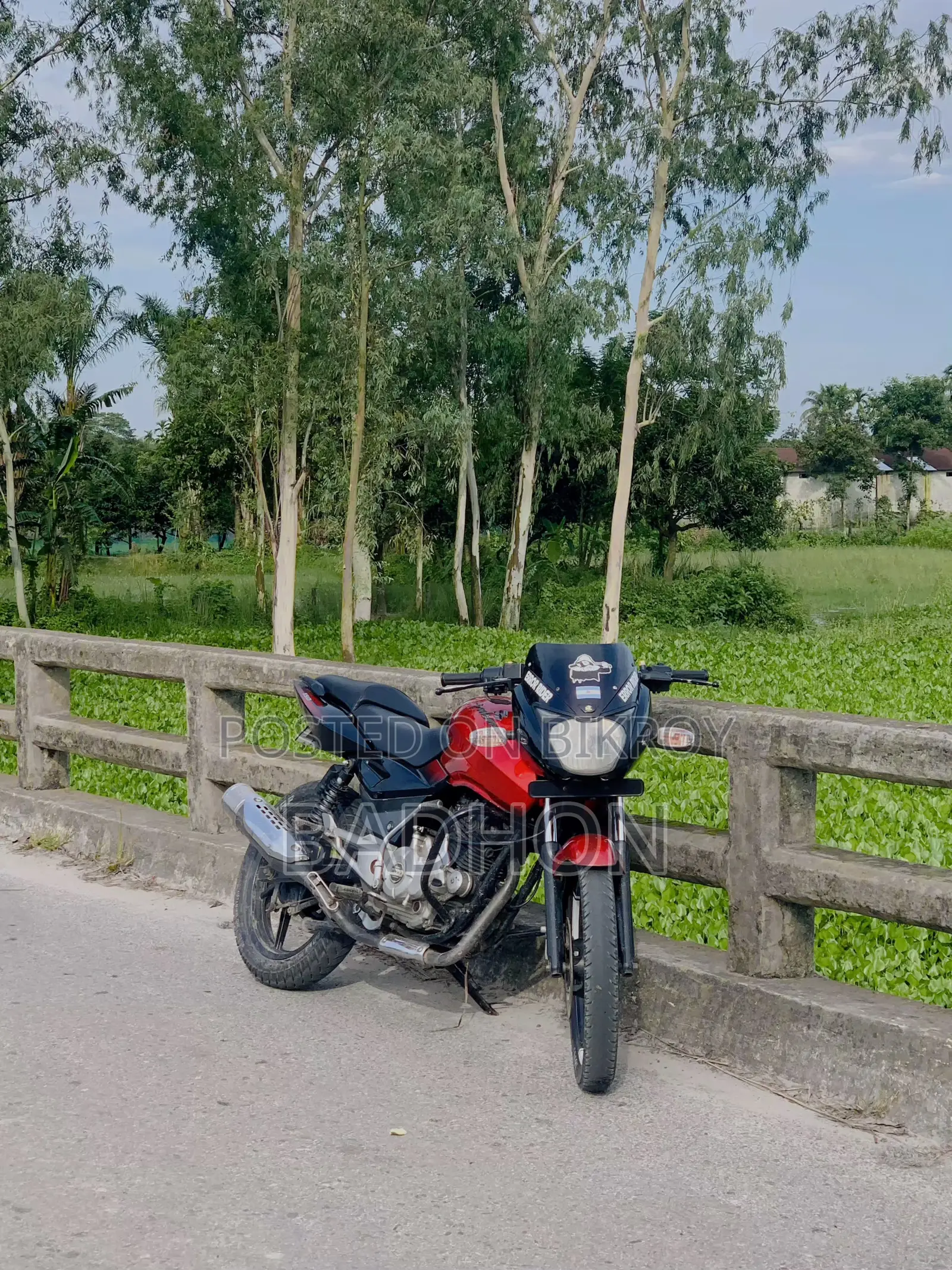 বাজাজ পালসার ১৫০ ২০১২ লাল