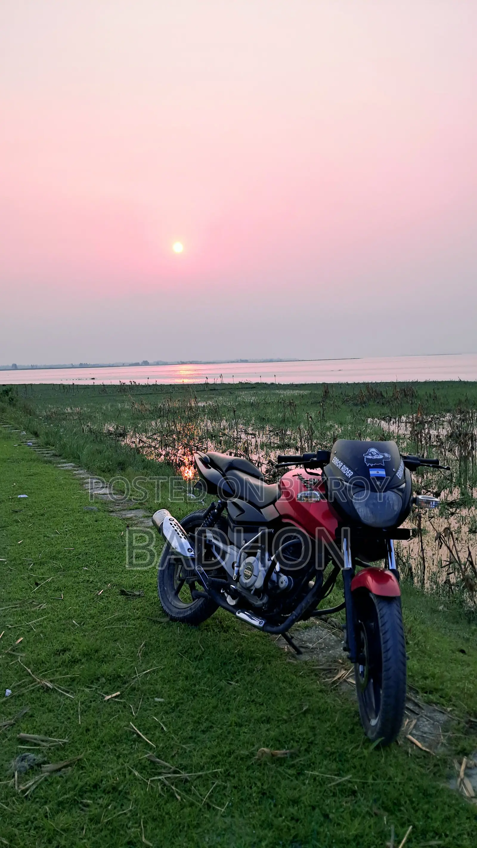 বাজাজ পালসার ১৫০ ২০১২ লাল