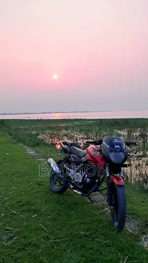 বাজাজ পালসার ১৫০ ২০১২ লাল