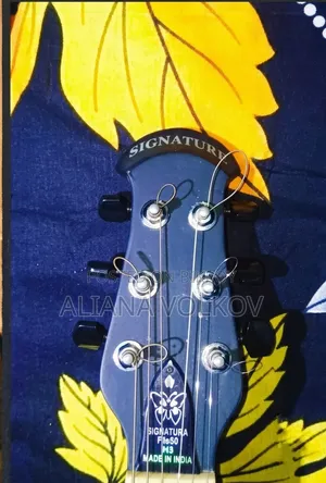 Signature 265 Guitar