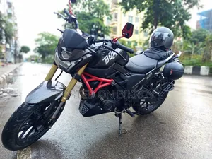Runner Bolt 165R 2024 Black