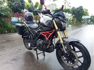 Runner Bolt 165R 2024 Black